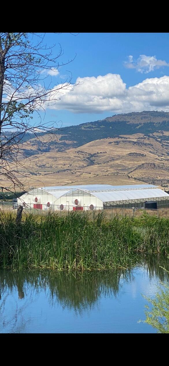 N/A - Farm