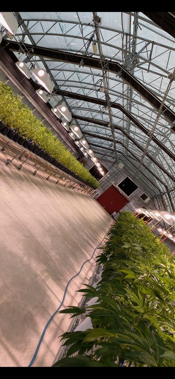 N/A - Farm