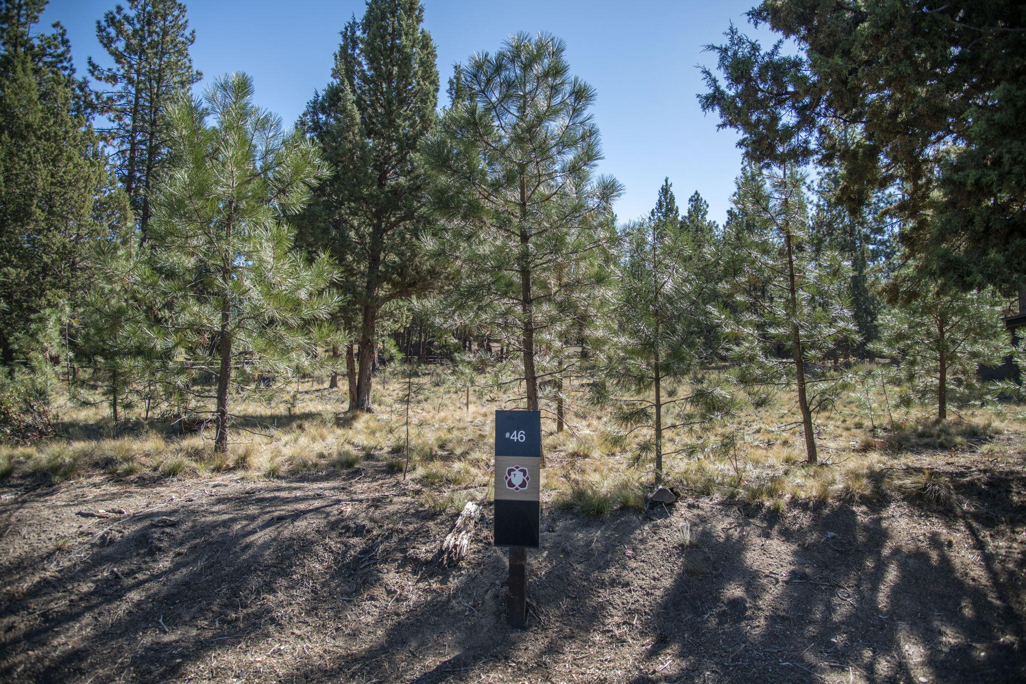 A premium homesite that would make the perfect spot for your custom home in the community of Tetherow. Bordered on two sides by common area, this homesite will feature privacy and serenity. It is also proximate to the homeowners-only pool and spa on Meeks Trail. Mature trees and possible mtn views w/ a second story. Seller has completed home plans, renderings, interior design, & landscaping plans that may be purchased outside of escrow from architect. Outstanding location to enjoy the easy access to Phil's Trail XC Mtn bike trail and the Deschutes National Forest, convenient proximity to the world class resort style living including Tetherow's golf course, a year-round heated pool, clubhouse, fitness facilities, a members-only pool, and restaurants.