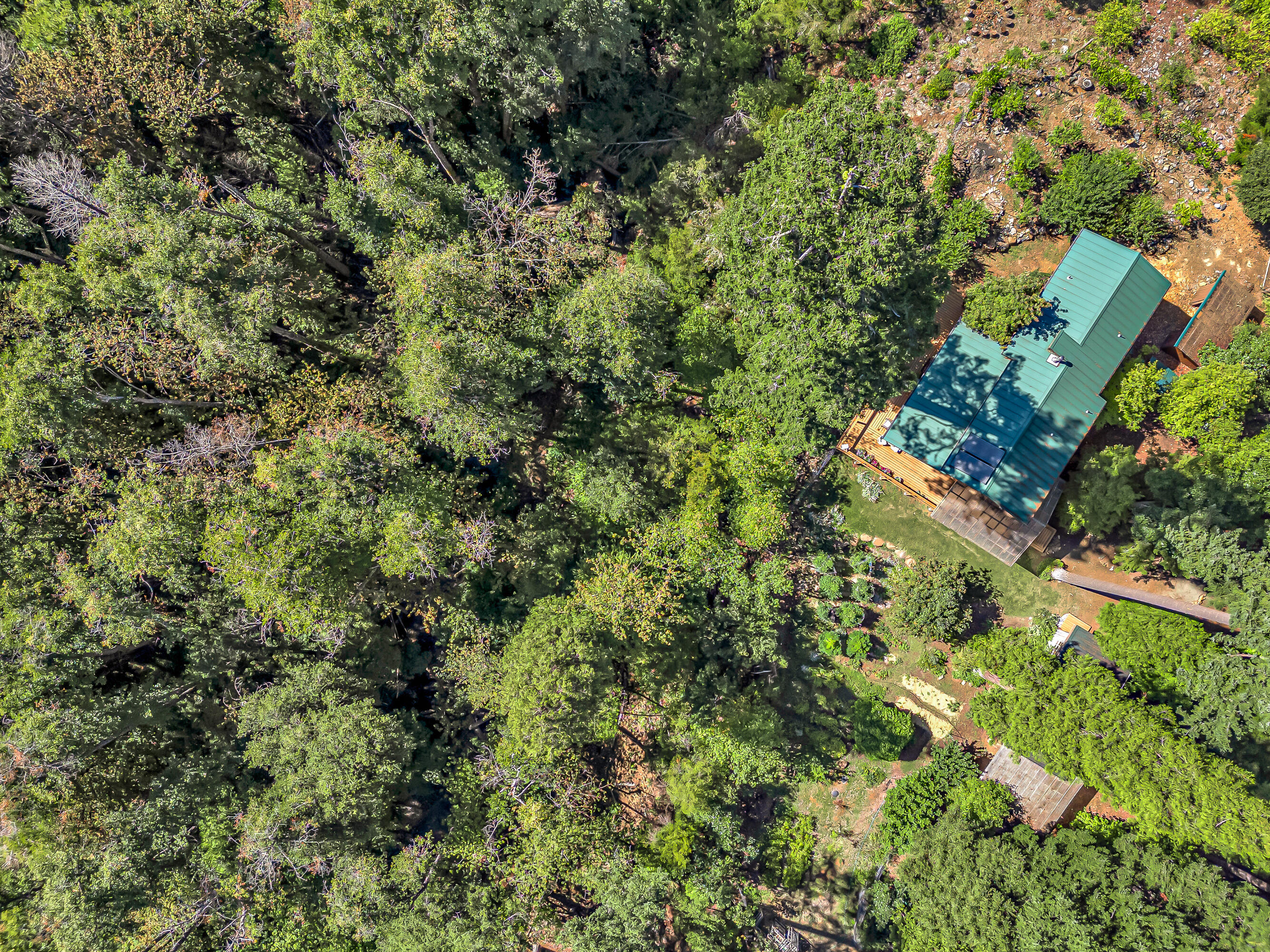 Williams Crossing - Residential