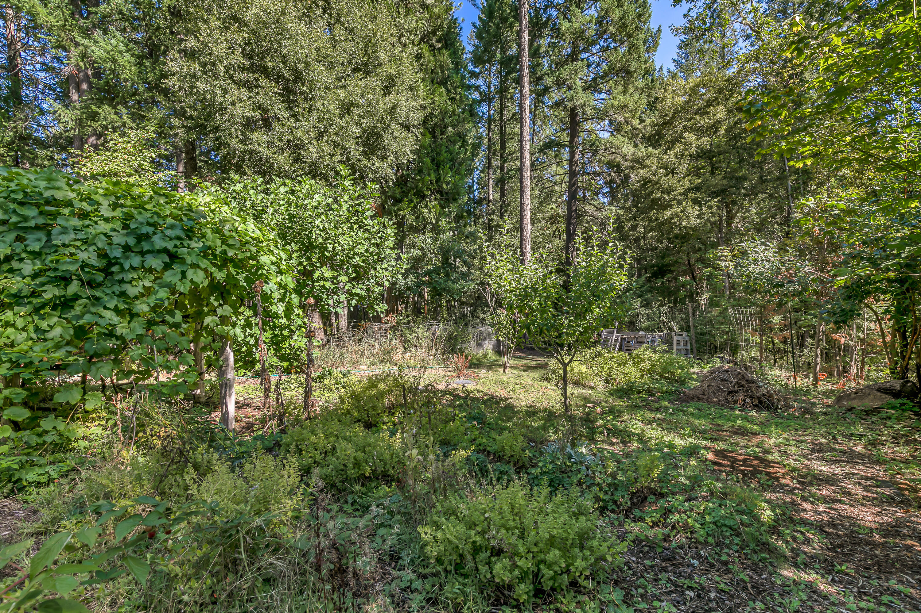 Williams Crossing - Residential