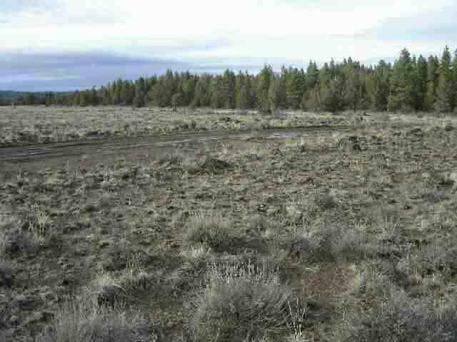 3 Of 7 Lots