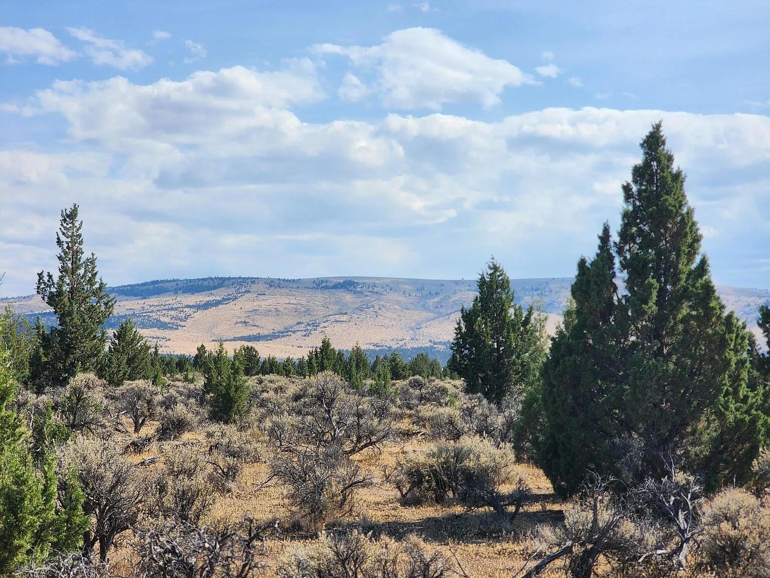 Juniper Acres - Land