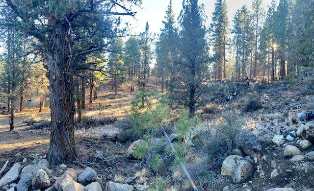 Tumalo Heights - Land