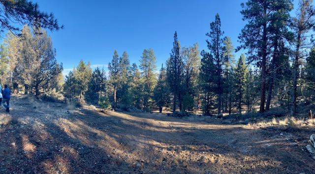 Tumalo Heights - Land