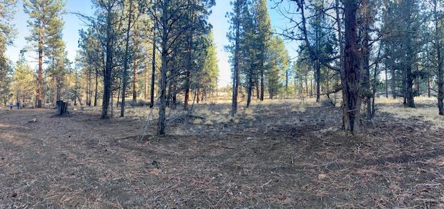 Tumalo Heights - Land