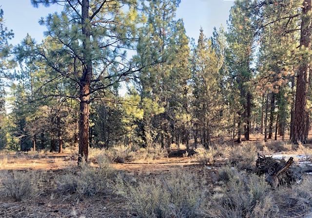 Tumalo Heights - Land
