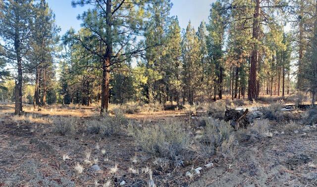 Tumalo Heights - Land