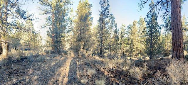 Tumalo Heights - Land