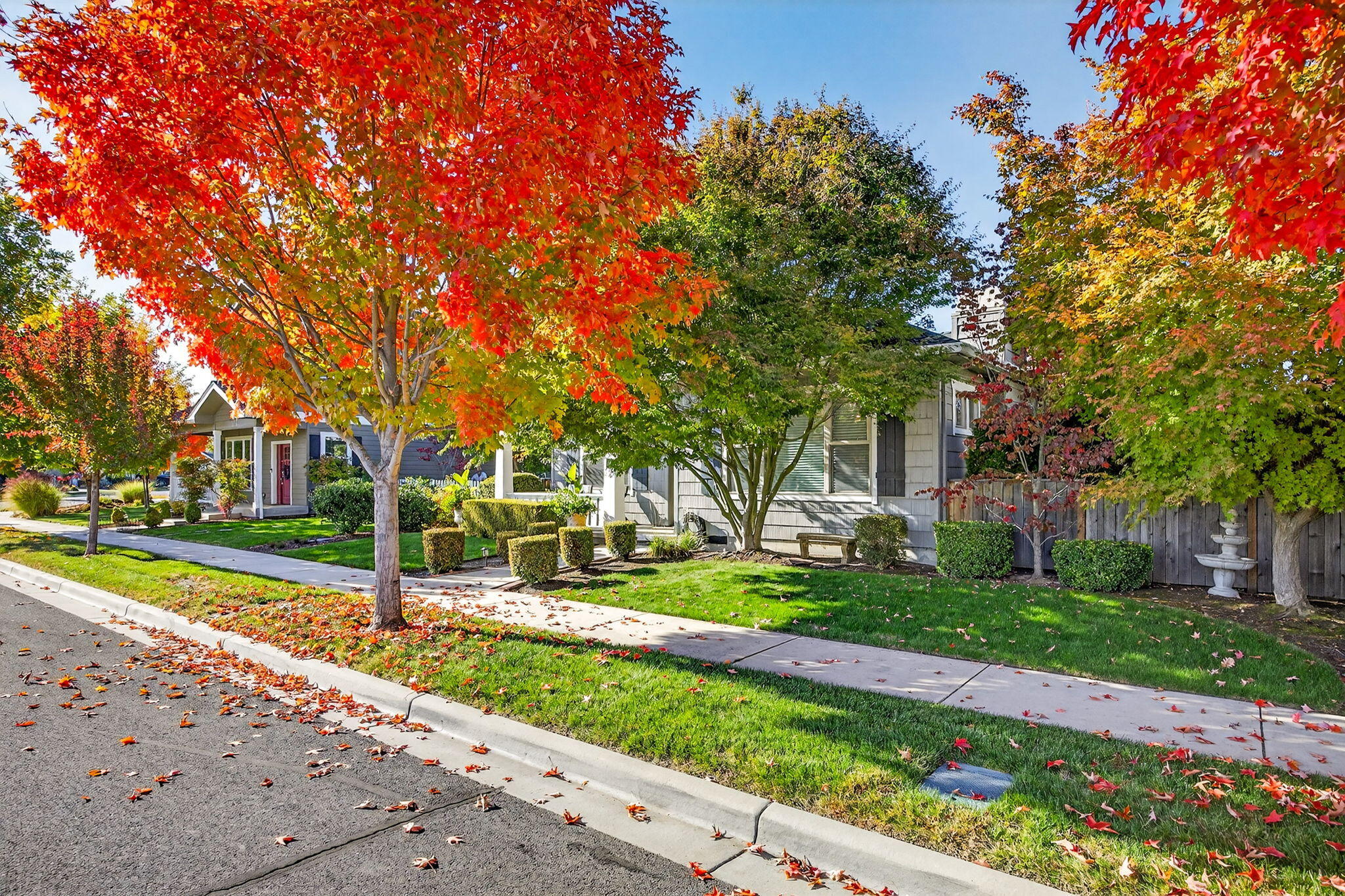 North Village At Twin Creeks Phase Iii, The - Residential