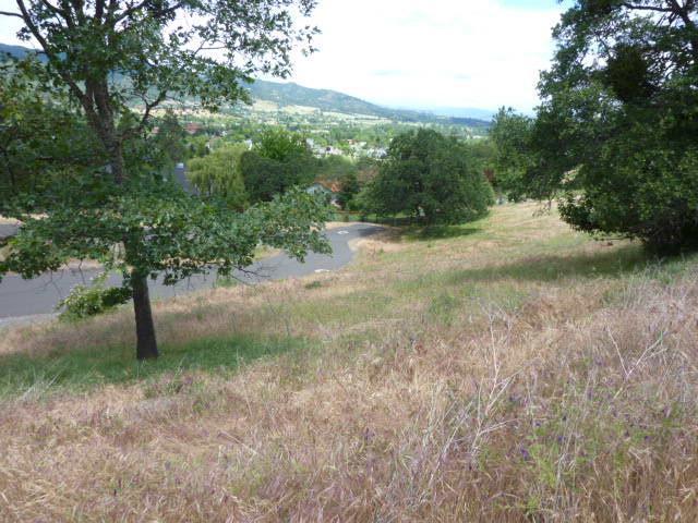 Great 1.04 Acre Lot located in a prestigious neighborhood only blocks from Downtown Historic Jacksonville. Great Views of the valley and surrounding mountains. Utilities stubbed at property line. Buyer to due diligence reguarding utilities. HOA Dues $100.00 per quarter. Property sold AS IS.