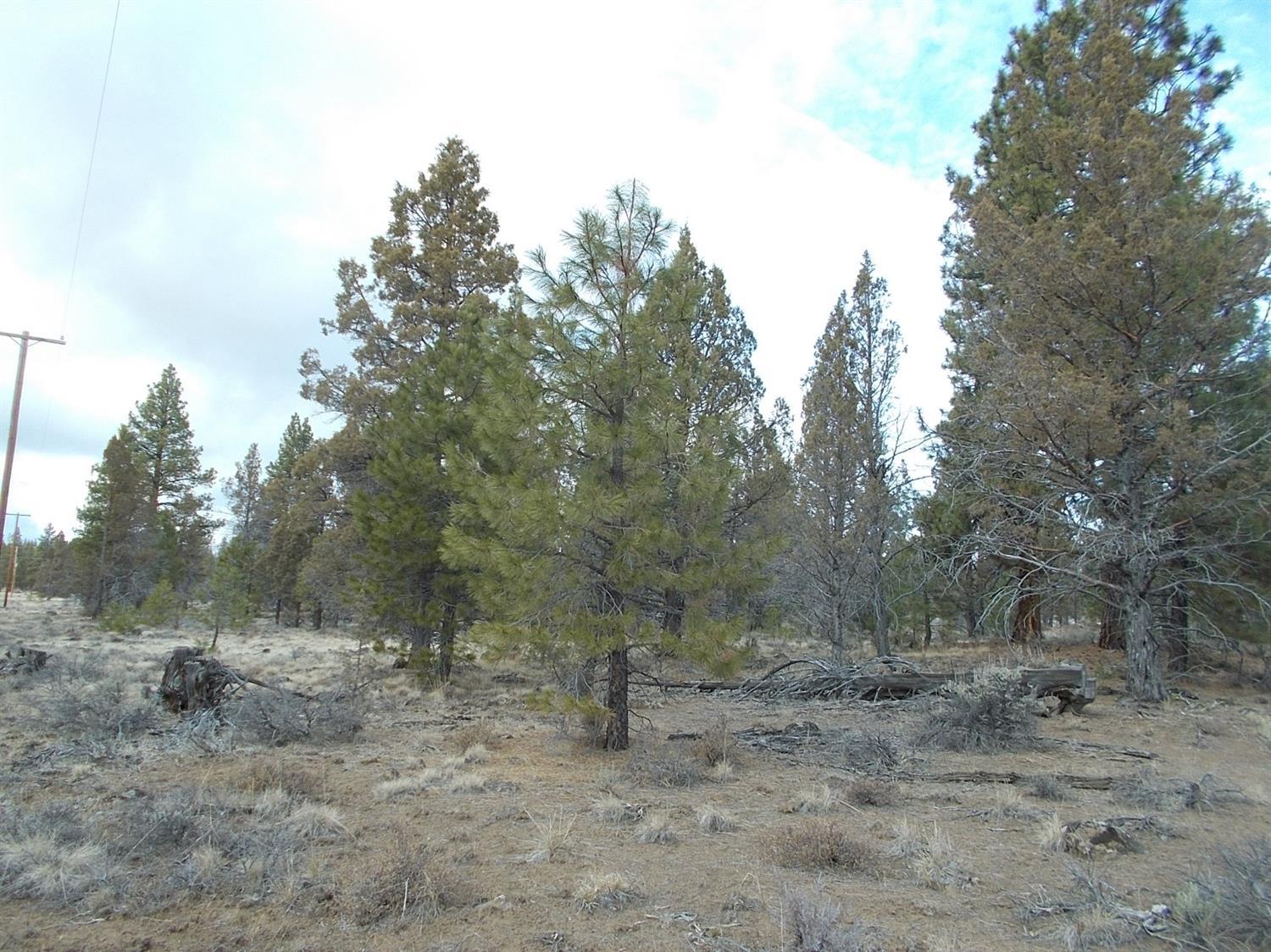 High Country Ranch - Land