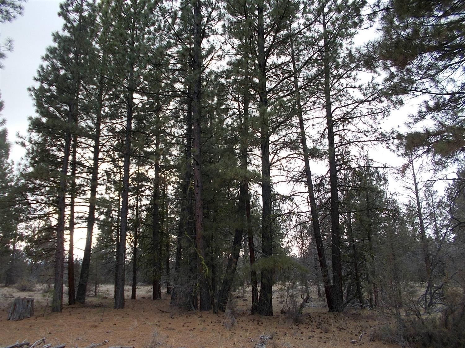 High Country Ranch - Land