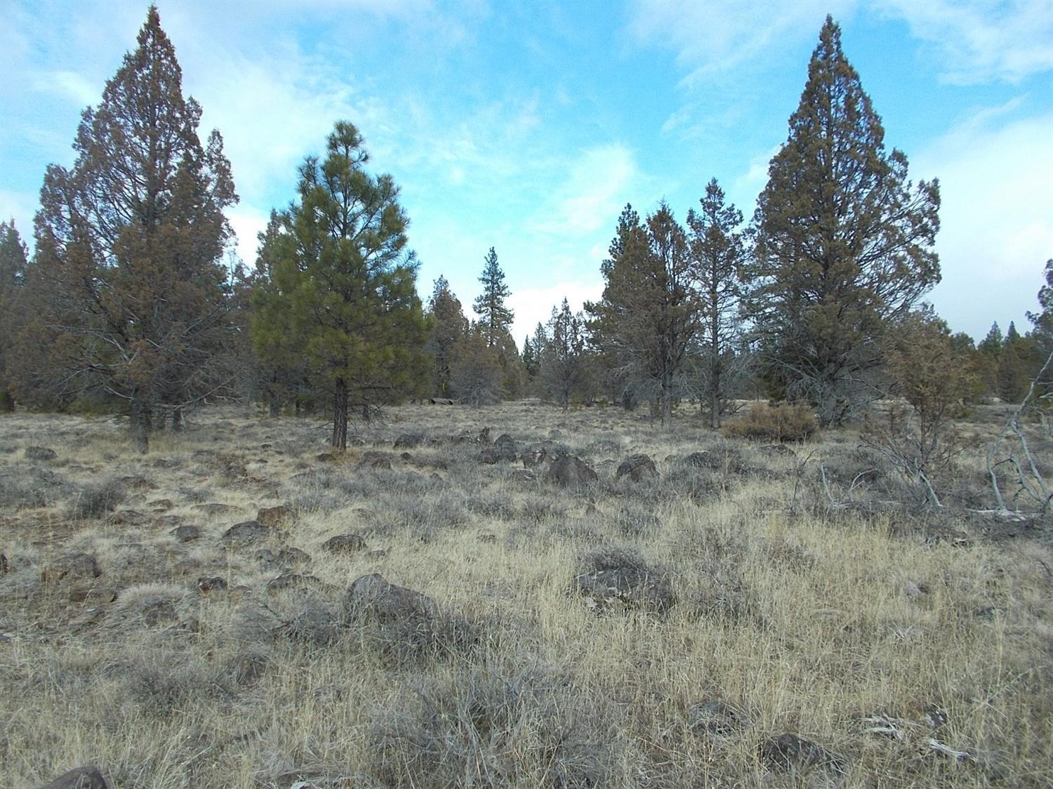 High Country Ranch - Land