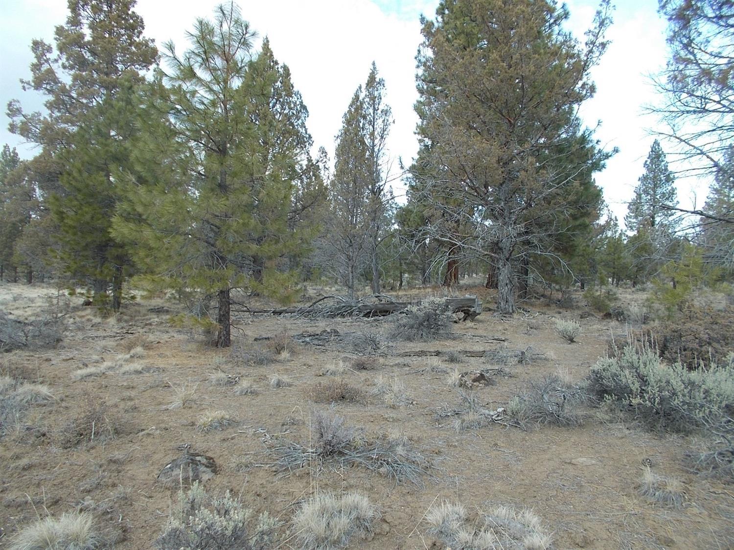 Rural residential building lot north of Bly located in High Country Ranch. These lots sell quickly. $100 per year HOA's cover the roads and use of a private park and lake. Wonderful area for either your full time residence or vacation home. This 20 acre lot is level with pines and open area.