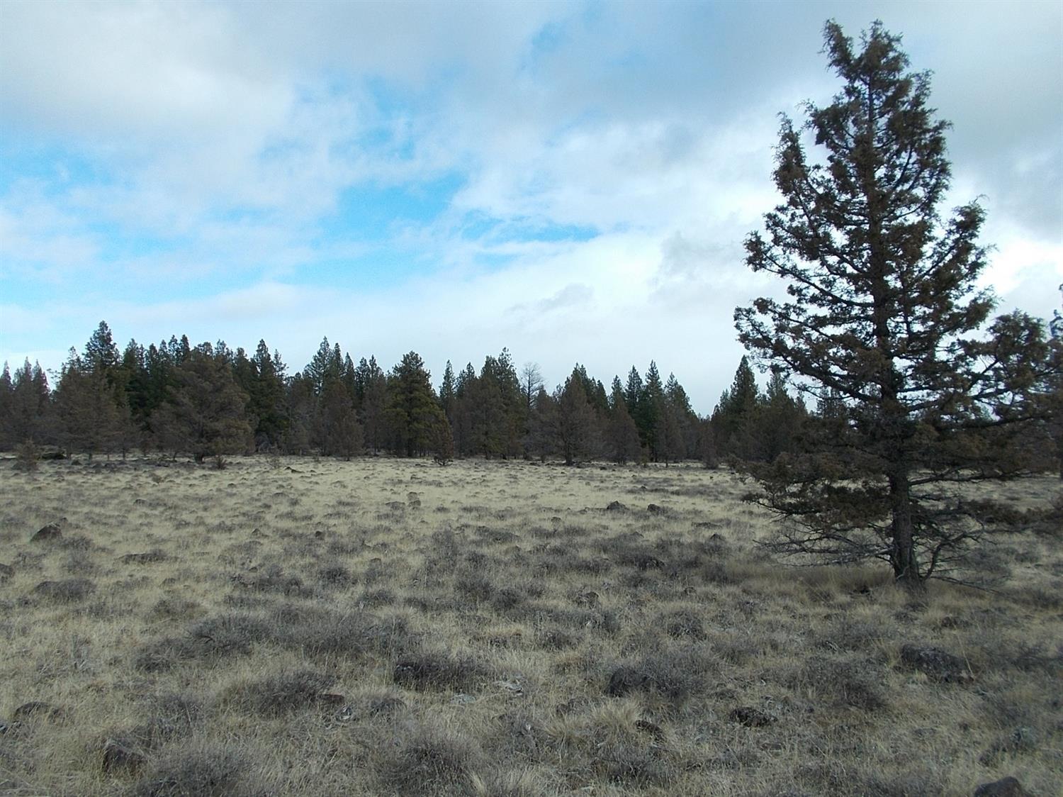 High Country Ranch - Land