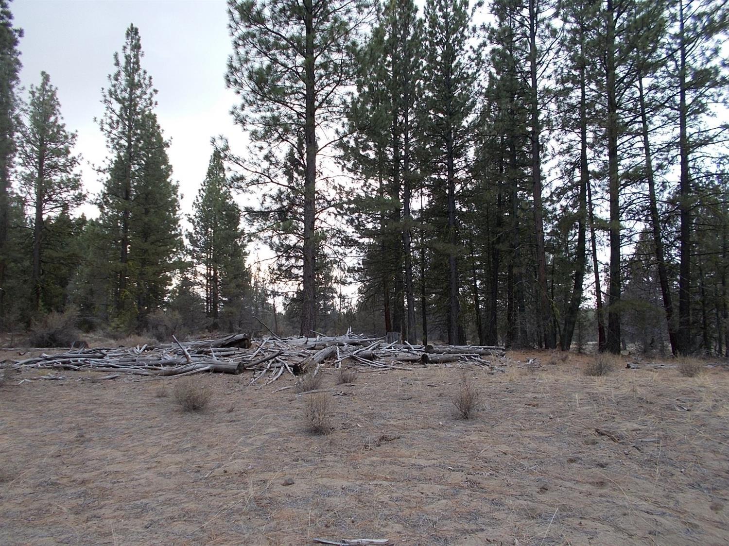 High Country Ranch - Land