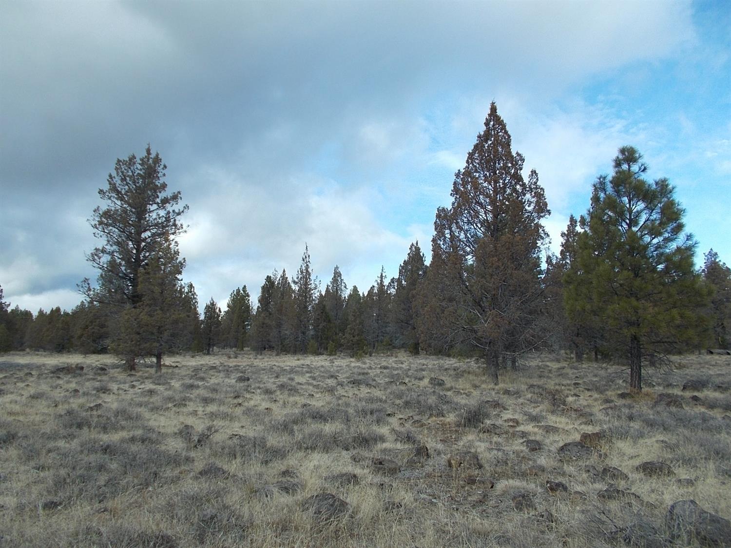 High Country Ranch - Land