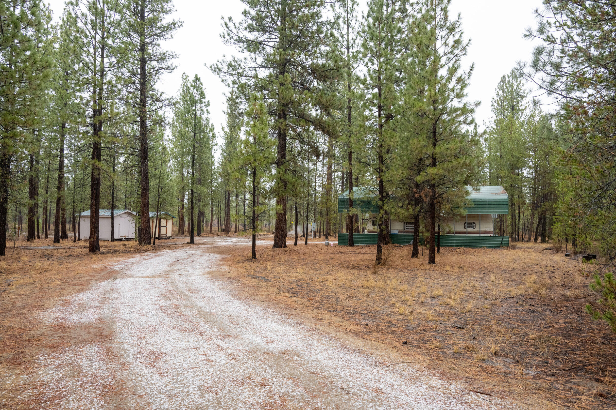 Deer Forest Acres - Land