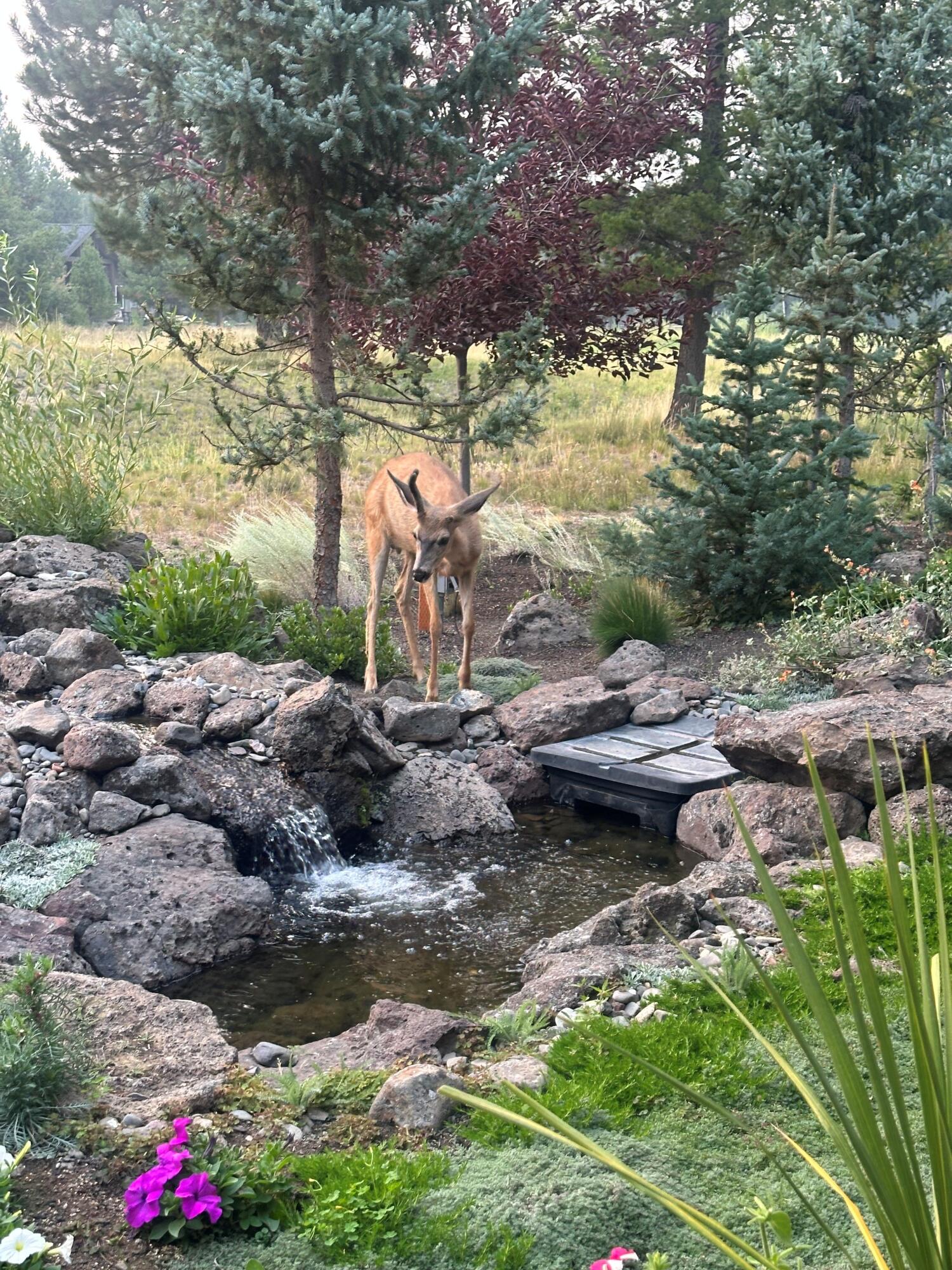 Caldera Springs - Residential