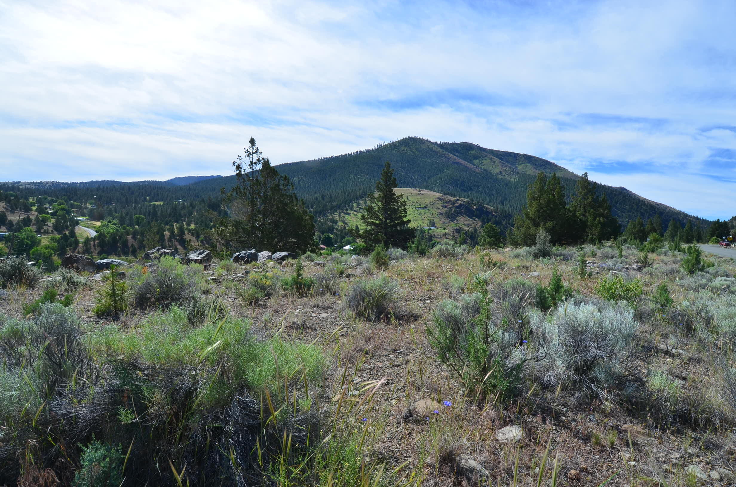 .56-acre residential lot located in Canyon Mountain Heights Subdivision. Located in an upscale subdivision with a prime view of Canyon Mountain. System development fees have been paid. City water & sewer is stubbed to the lot. Underground power. This lot has some level area and hillside. Additional tax lots are available. Call for more information.