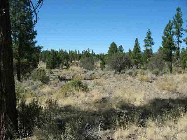 This 10 Acres Is An Ideal Homesite. Has Deeded Access, Would Make A Great Solar Homesite Off The Grid. Nice Setting In The Trees, Build Your Dream Home Or Own Your Recreational Property.