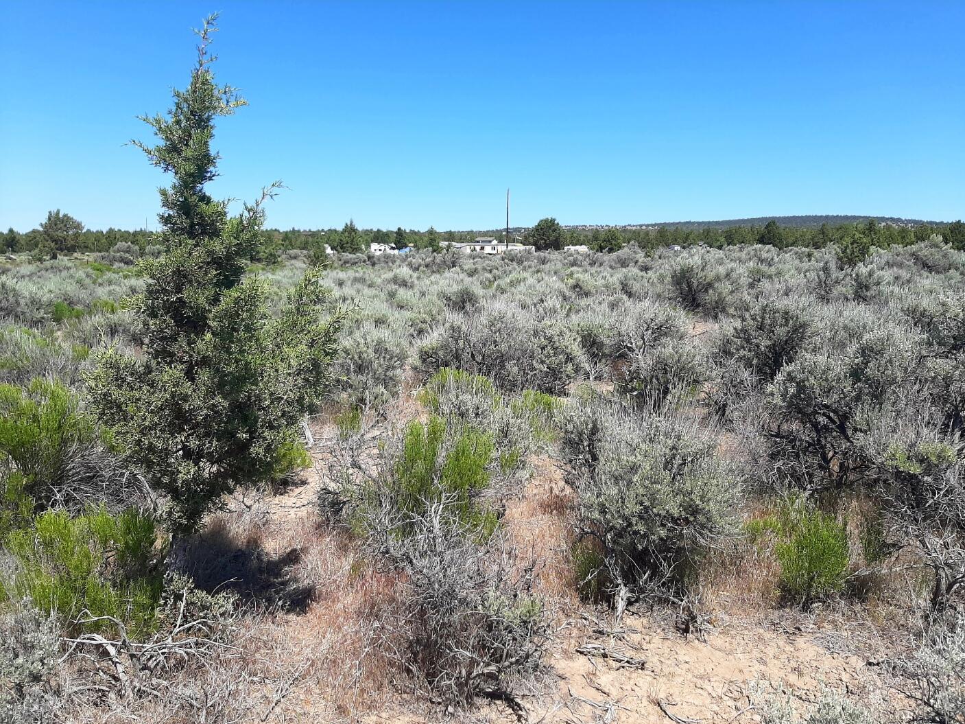 Prineville Lake Acres 2 - Land