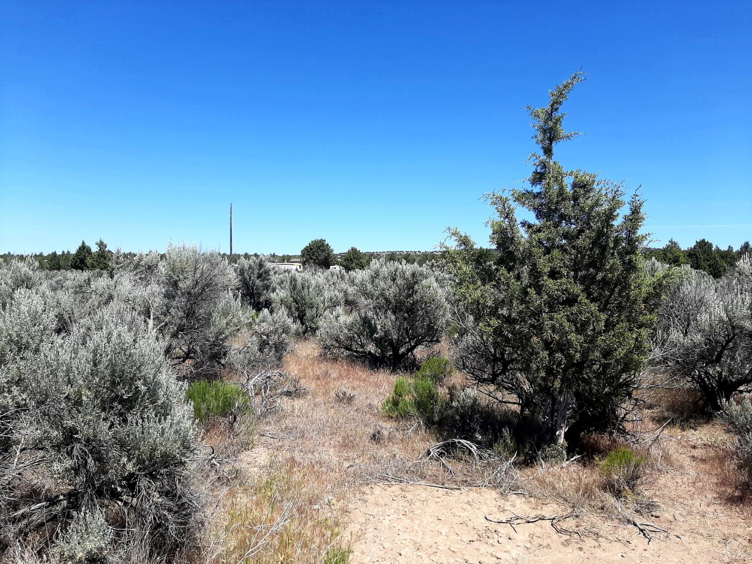 Prineville Lake Acres 2 - Land