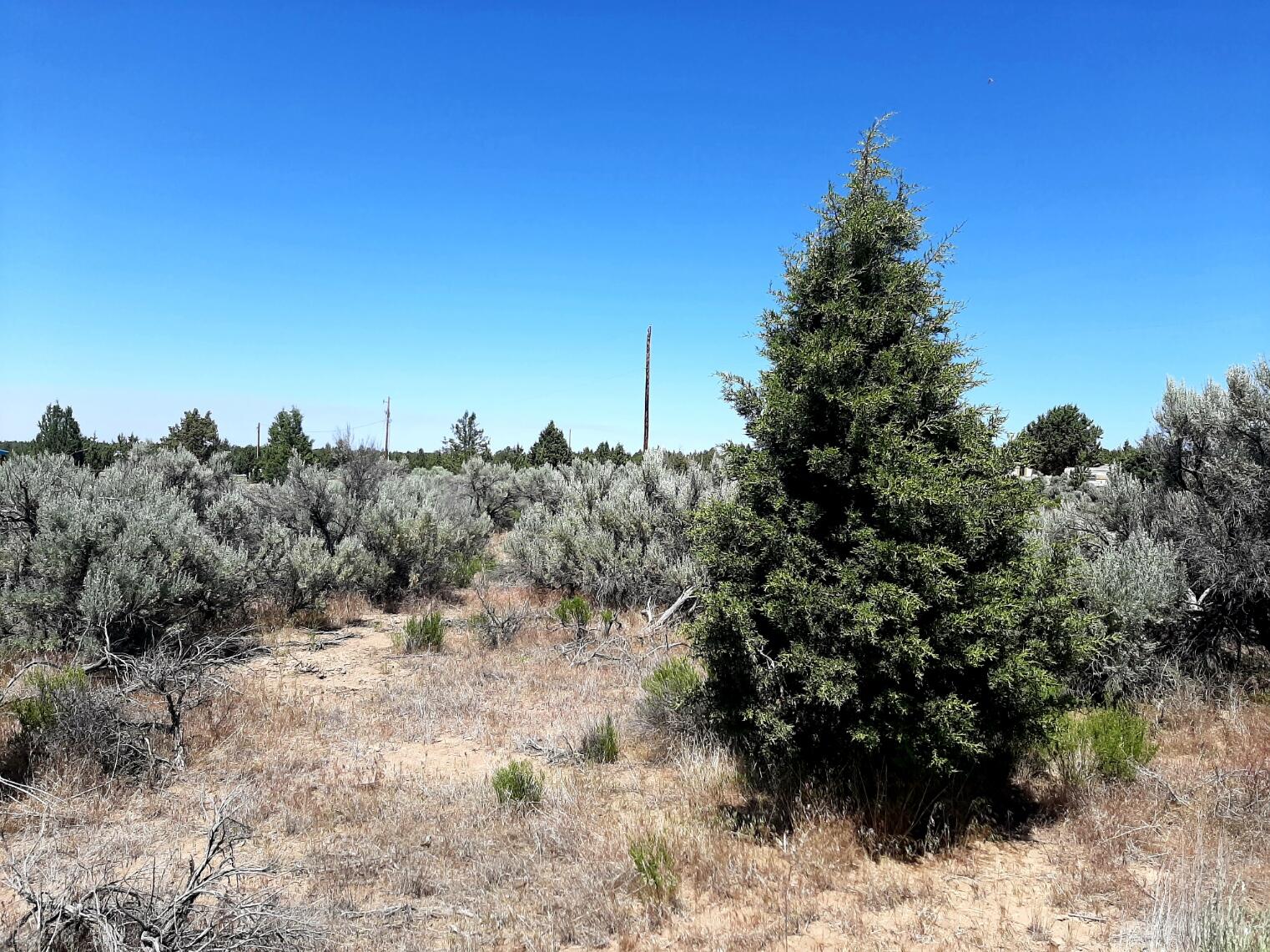 Prineville Lake Acres 2 - Land