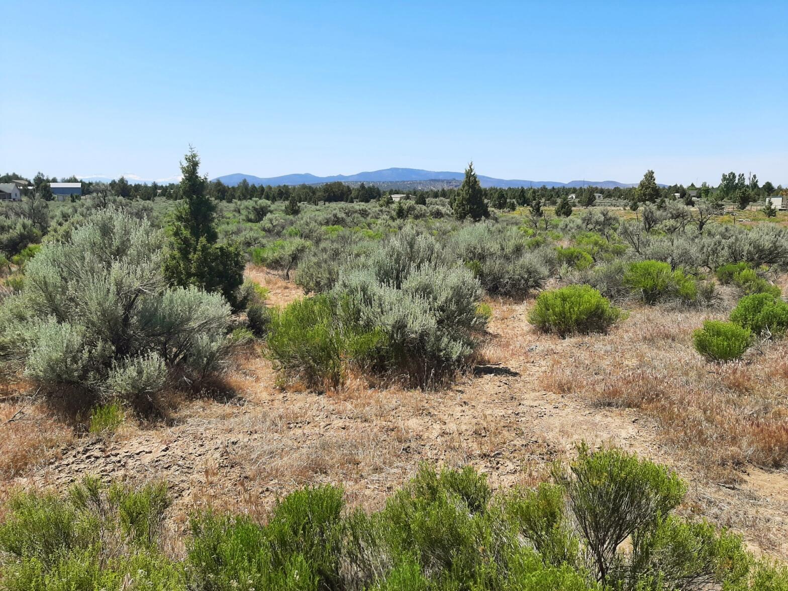 Prineville Lake Acres 2 - Land