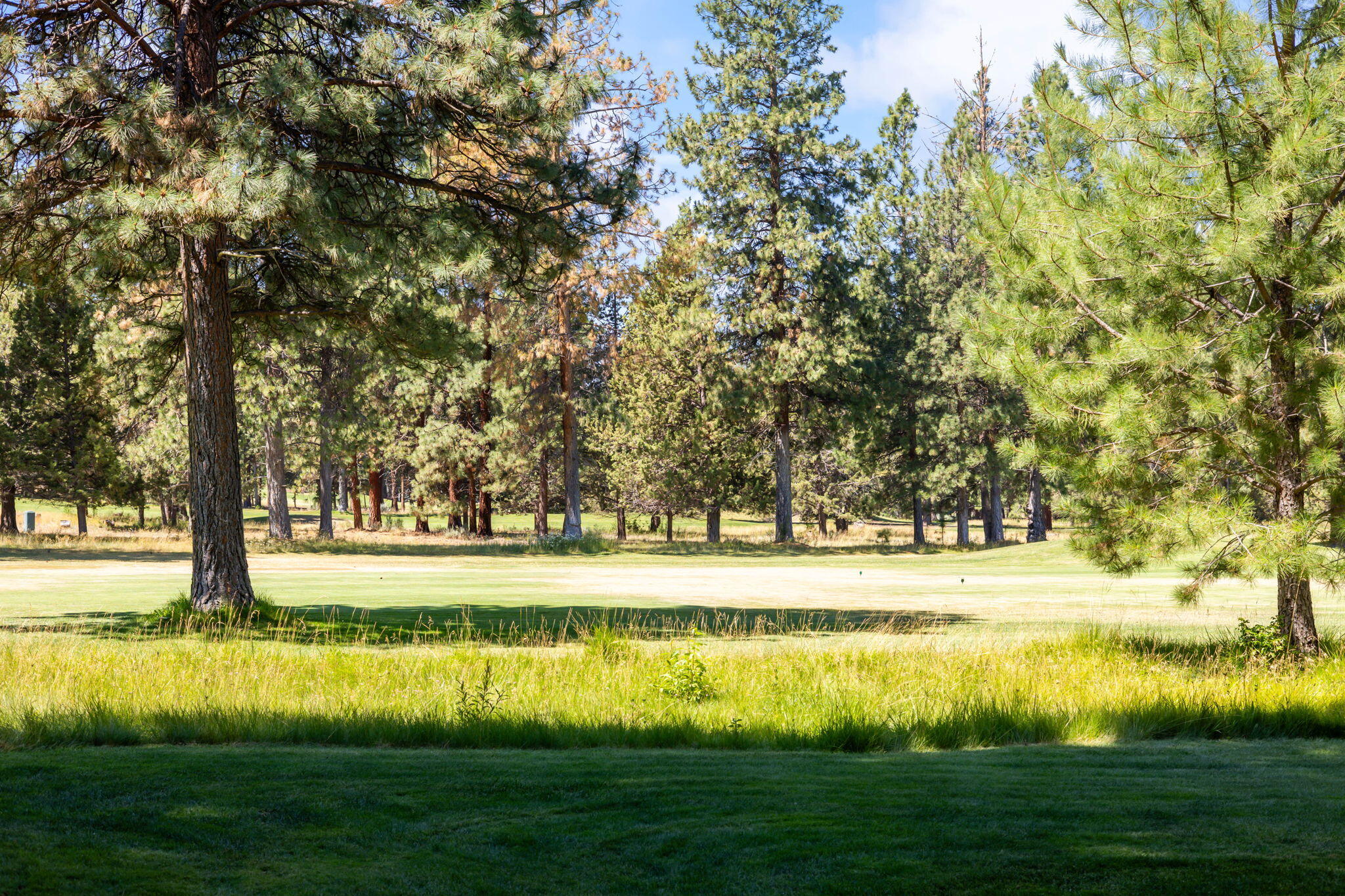 Aspen Lakes Golf Est - Residential