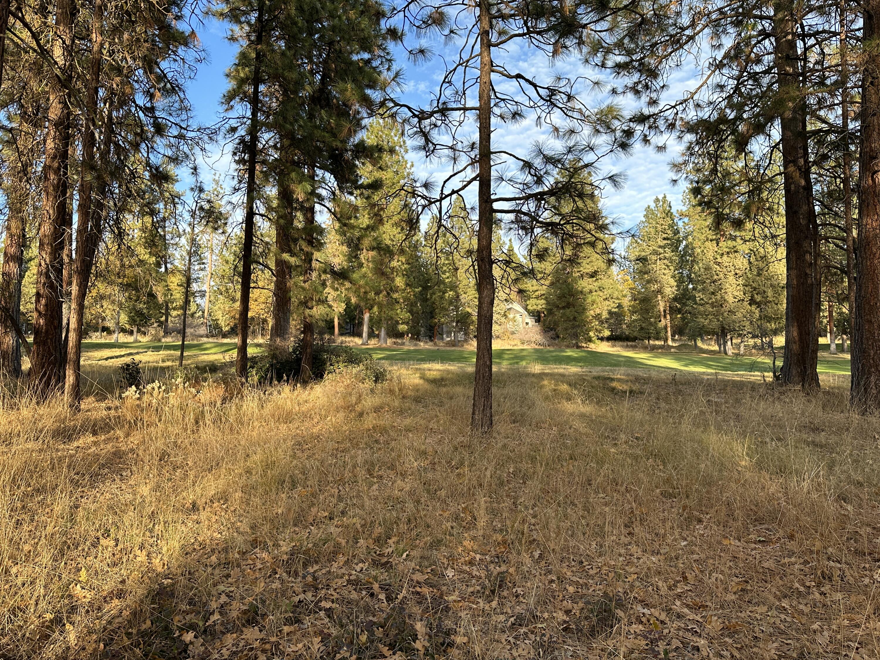 Running YResort - Land