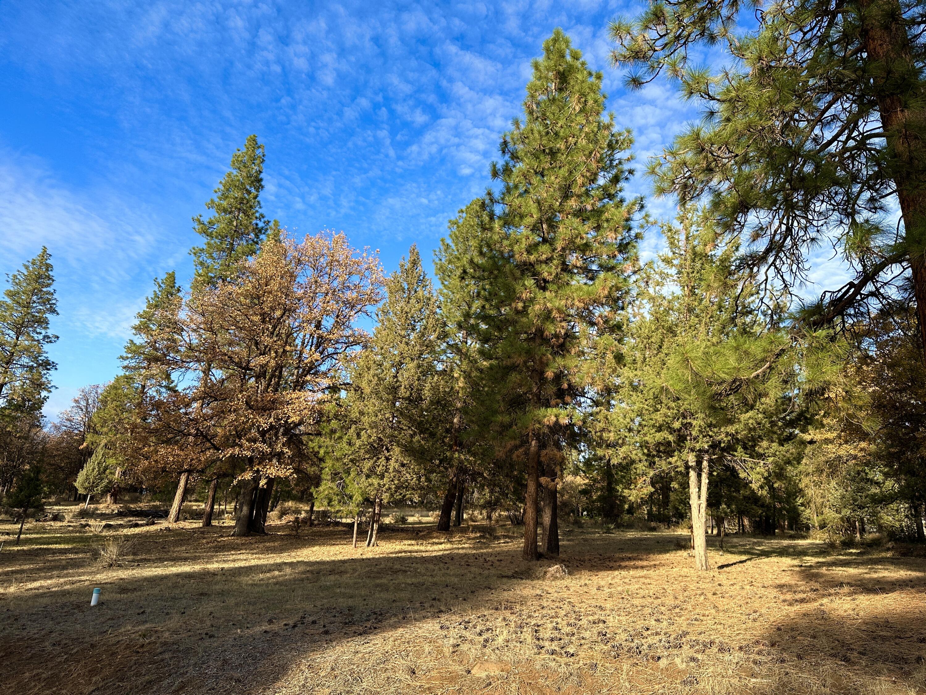 Build your dream home on this 0.50 acre residential homesite at the Running Y Resort located below the 7th hole of Oregon's only Arnold Palmer designed golf course. Homesite is above road level for tree lined mountain views to the front, and golf course views behind. Rare opportunity to purchase the adjoining lot, 108 Merganser, believed to be combinable to a 1.03 acre homesite for a truly spectacular home build, buyer to complete due diligence. The Running Y Resort is sought after for its many homeowner amenities that include fitness center, indoor pool and sauna, tennis, pickleball, basketball, and volleyball courts, playground, 6 miles of paved walking and riding trails, wildland walking trails and fishing pond. Resort amenities include an 18 hole Arnold Palmer golf course, restaurants, spa, ice skating, roller rink, neighborhood market, and more. Possibility of owner carry.