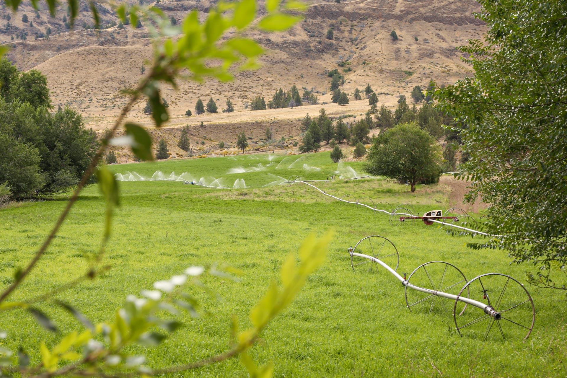 N/A - Farm