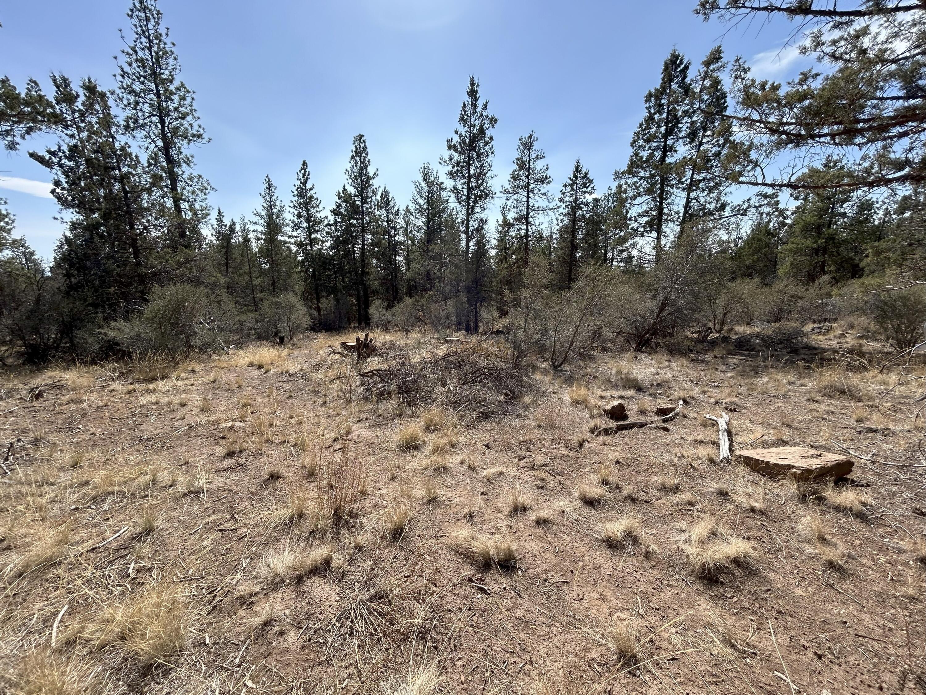 Klamath Falls Forest Estates -Hwy 66 Unit -Plat No. 1 - Land