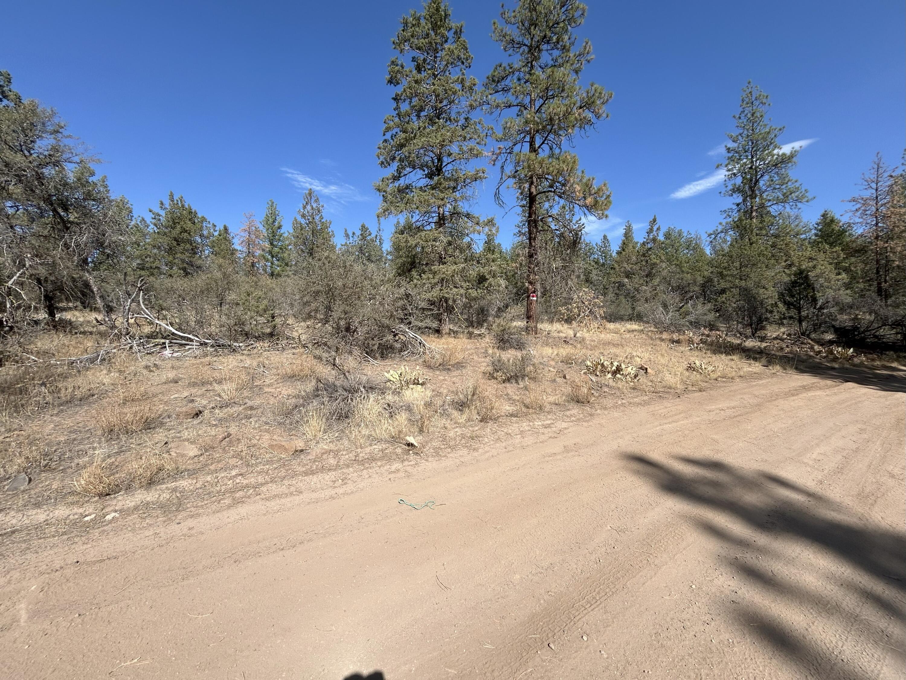 Klamath Falls Forest Estates -Hwy 66 Unit -Plat No. 1 - Land