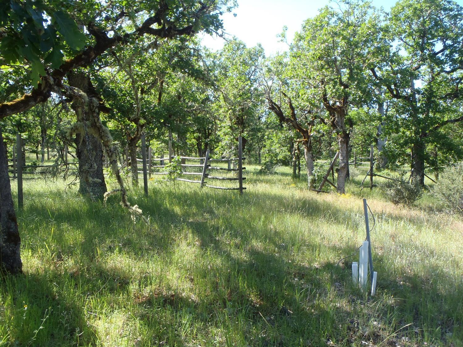 A special place in the great northwest. Life above the Rogue River. Gradually sloping 4.79 acres. Just north of Shady Cove city limits, territorial views of mountains, trees, river canyon. 3 minutes to downtown Shady Cove and River Parks. World famous fishing on the Rogue River is at the edge of your property. Walk down to the rivers edge and catch dinner! This property is ready for your dream home. Check with county and review the previous home and septic site approvals, property has well installed see info at water resource department well #L49163, power has been brought to the property foundation has been built for a shop with water lines running to it, schedule 40 water lines have been run to the pasture area above for large pets. Owner would consider participating in a construction loan process. A new life awaits you! Local lender finance packages available for vacant land, ask listing agent for details.
