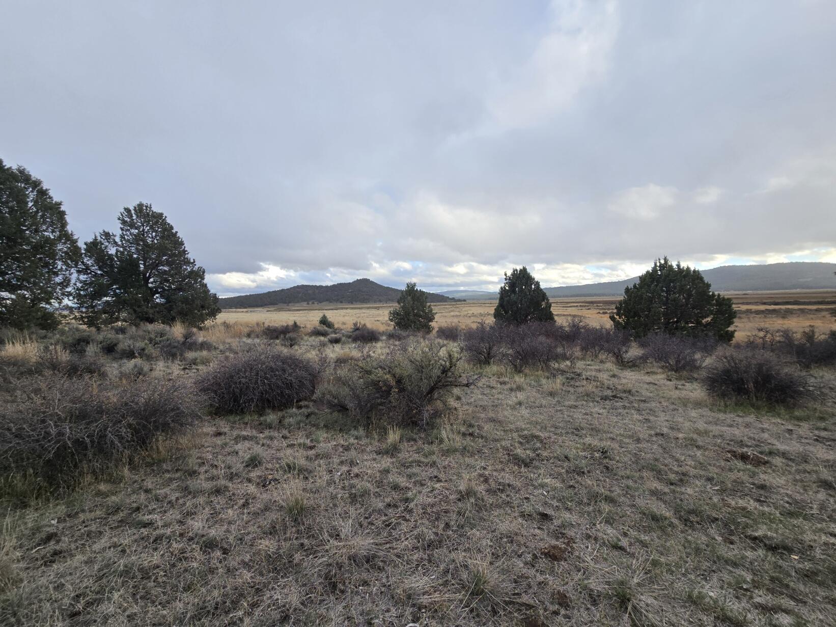 Escape to tranquility on this beautiful 1.58-acre parcel of land, featuring a slightly sloped terrain that perfectly complements the natural landscape. Enjoy direct riverfront access, with panoramic views of the serene Sprague River valley and the surrounding mountains.

Whether you're dreaming of building your forever home, creating a peaceful retreat, or just looking for a serene escape, this property offers the perfect blend of privacy, nature, and scenic beauty.