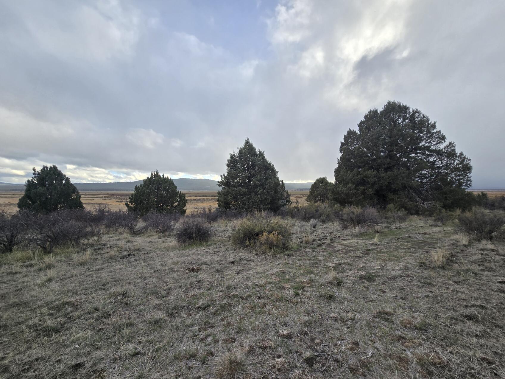 Nimrod River Park - Land
