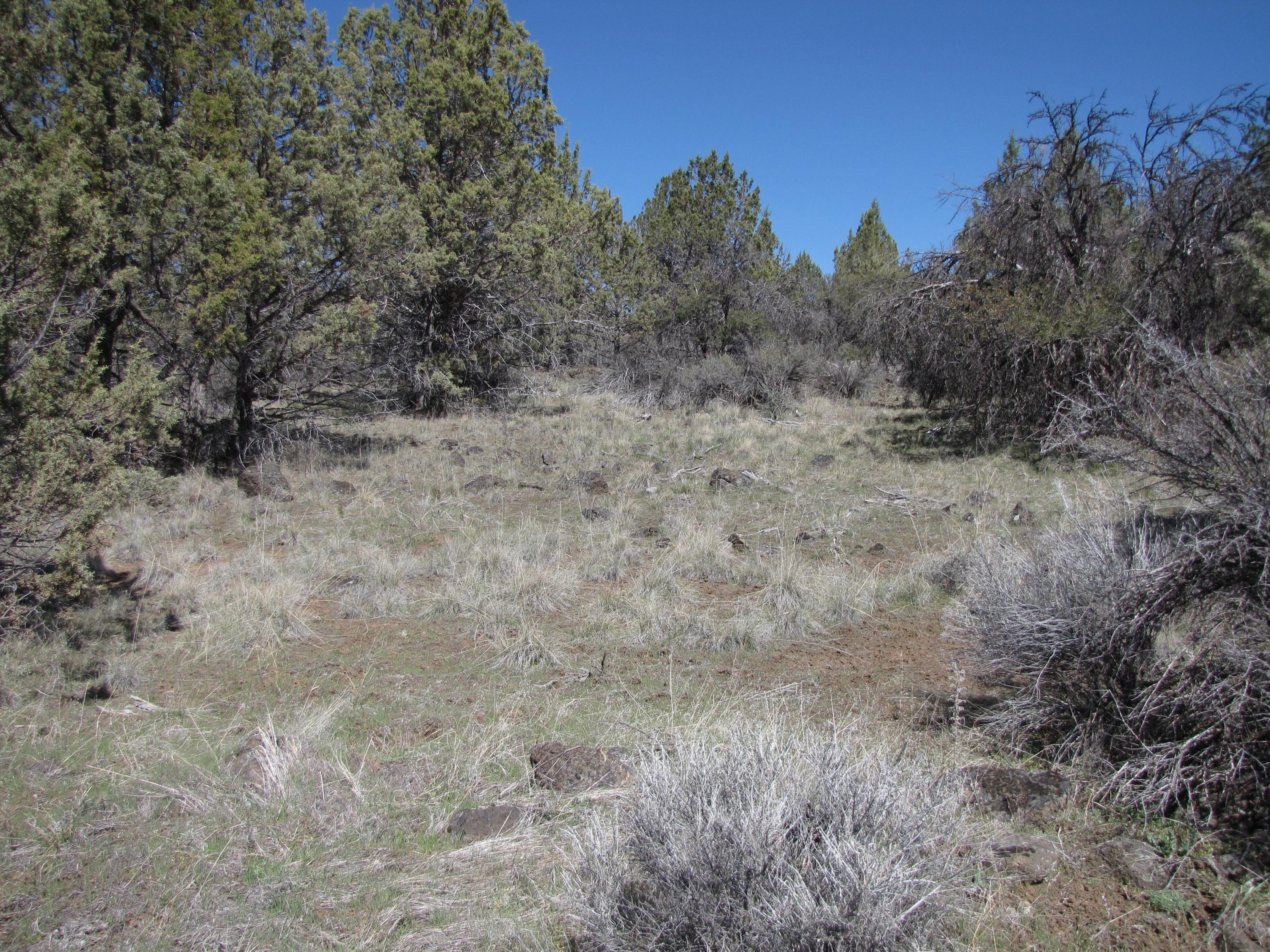 This parcel is in an area with very good ground water for installing a domestic well.
