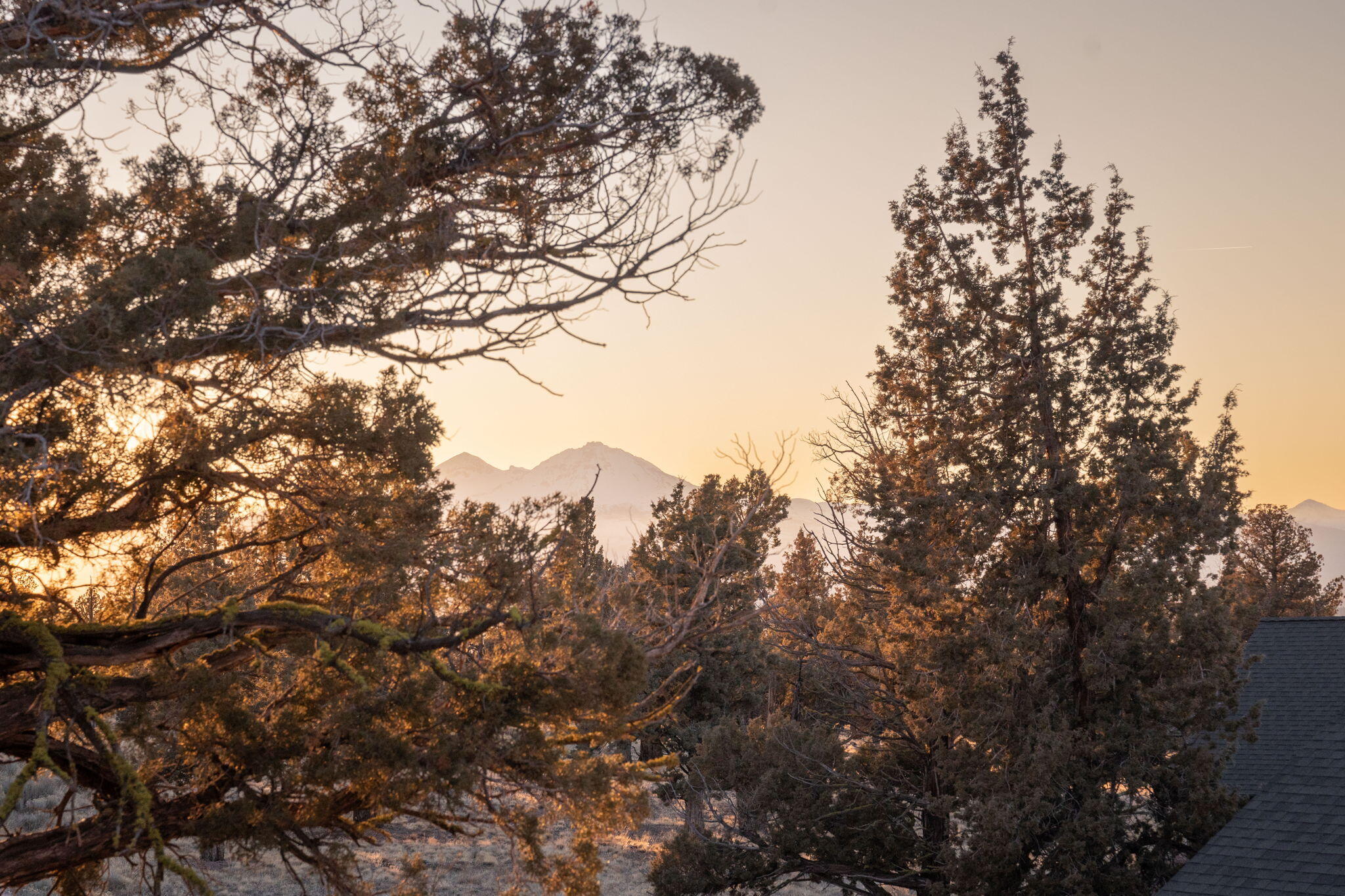 Ridge At Eagle Crest - Residential