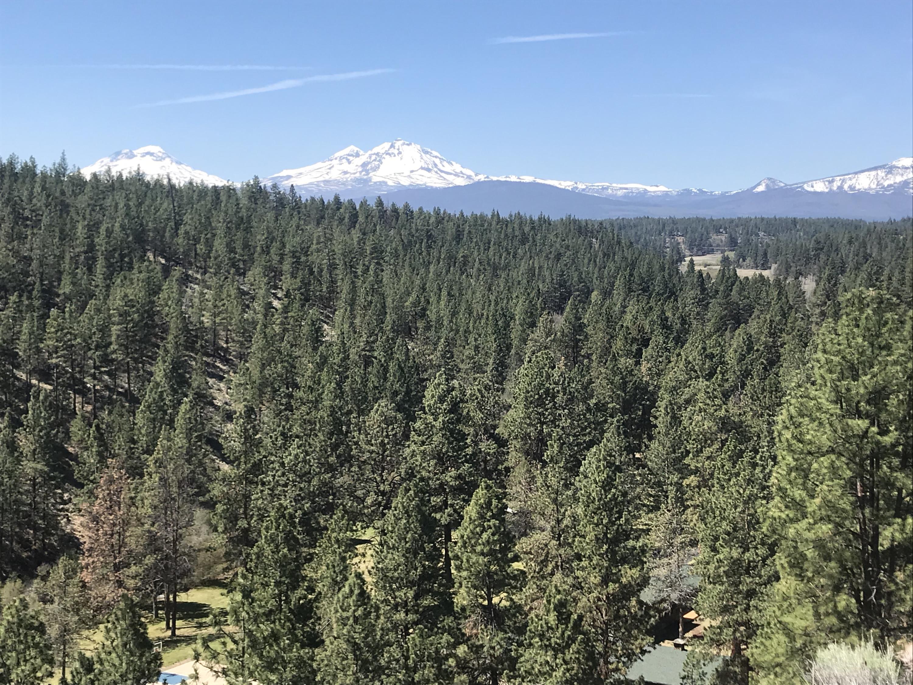 Stunning Cascade Mountain and Canyon views from this 2.00 acres on the Whychus Creek Rim in desirable Sisters community. Vistas, trees, rock formations, solitude,
miles of canyon and National Forest lands to explore, A beautiful building site on the property or near the rim awaits your dream home with an approved septic feasibility
permit, community water and power to the lot. A very unique and a must see property!