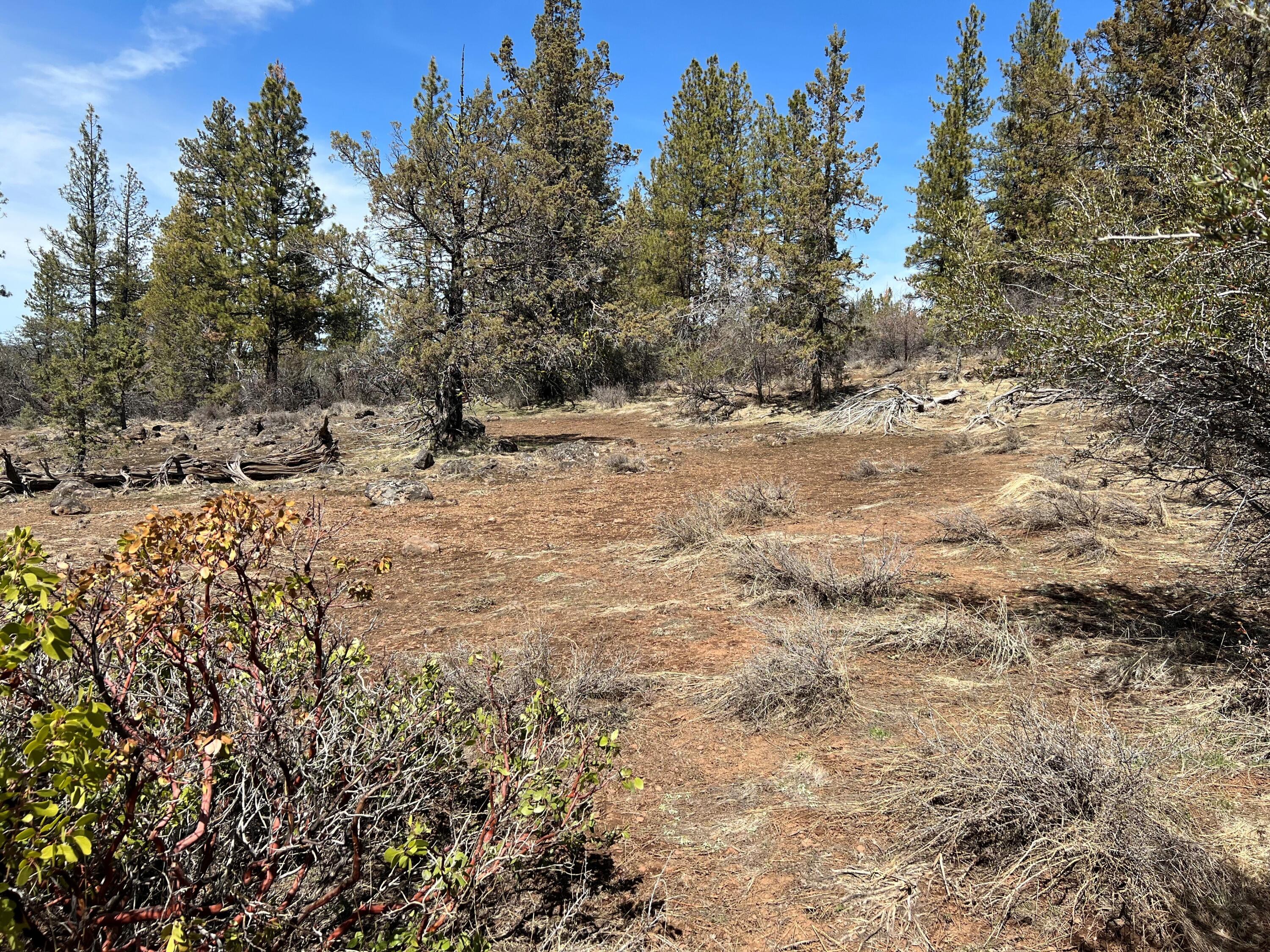 Klamath Falls Forest Estates Hwy 66 Unit Plat 4 - Land