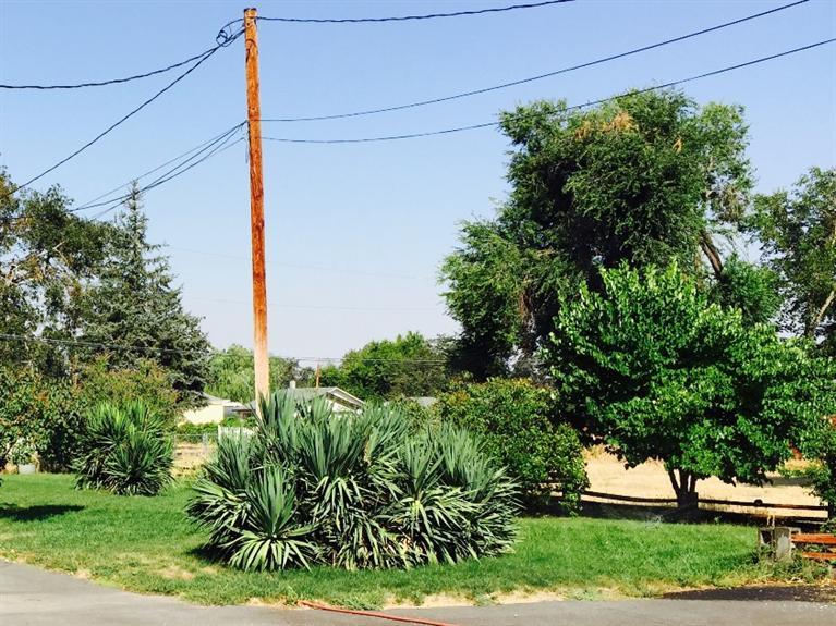 Back on Market, no fault of the property. This is a buildable .66 acre lot located in the Central Point School District. Nice level acreage, fenced on 3 sides, and buyers to fence the 4th side with a 6 foot privacy fence. Land is level, has plenty of room for a garden, small animals, and has a beautiful building site. Application for the lot split has been completed and is ready to file with the City as lot #7. Final Recording will take place upon closing of this lot. Buyers to due their own due diligence with the County on well & sewer hook up costs and building permits.