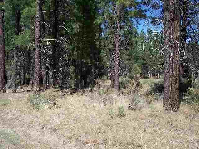 Beautiful Level Parcel With Tall Pines. In Area Of Nice Homes, Quiet Neighborhood With Utilities Along Road. This Parcel Has Great Homesite.