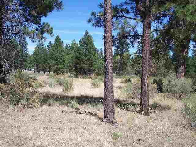 Bonanza - Land