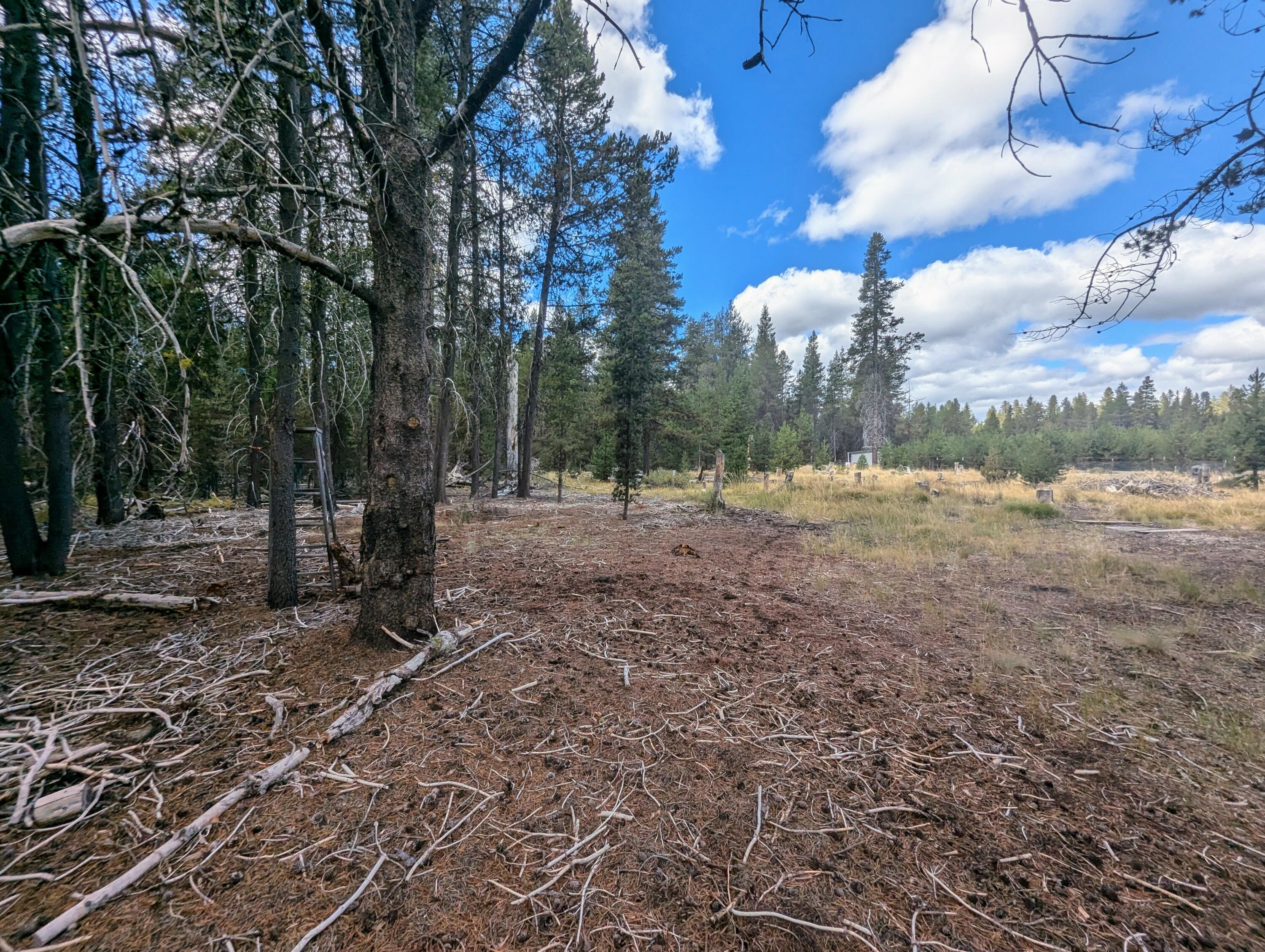 Mt. Scott Meadow - Land