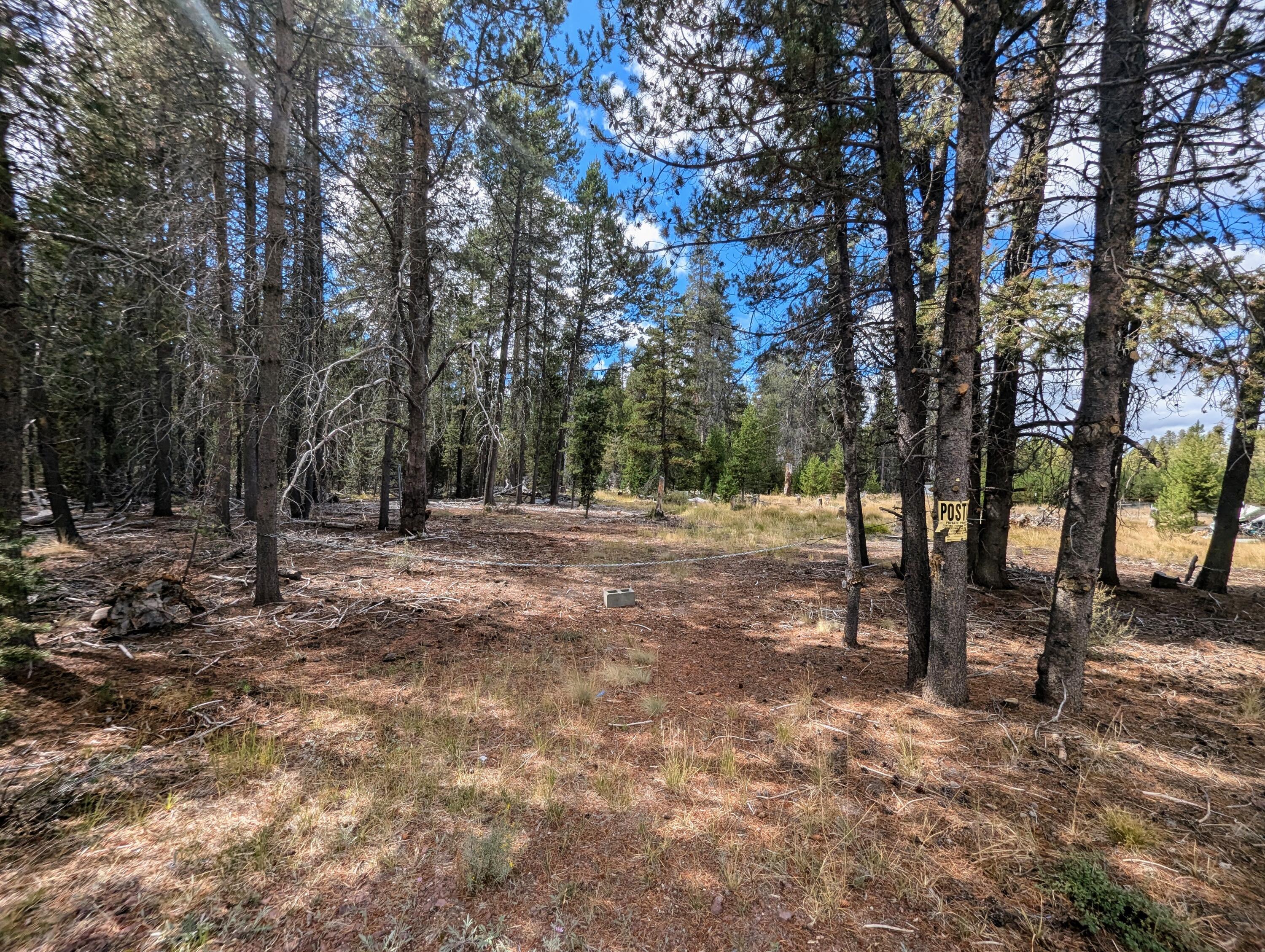 Mt. Scott Meadow - Land