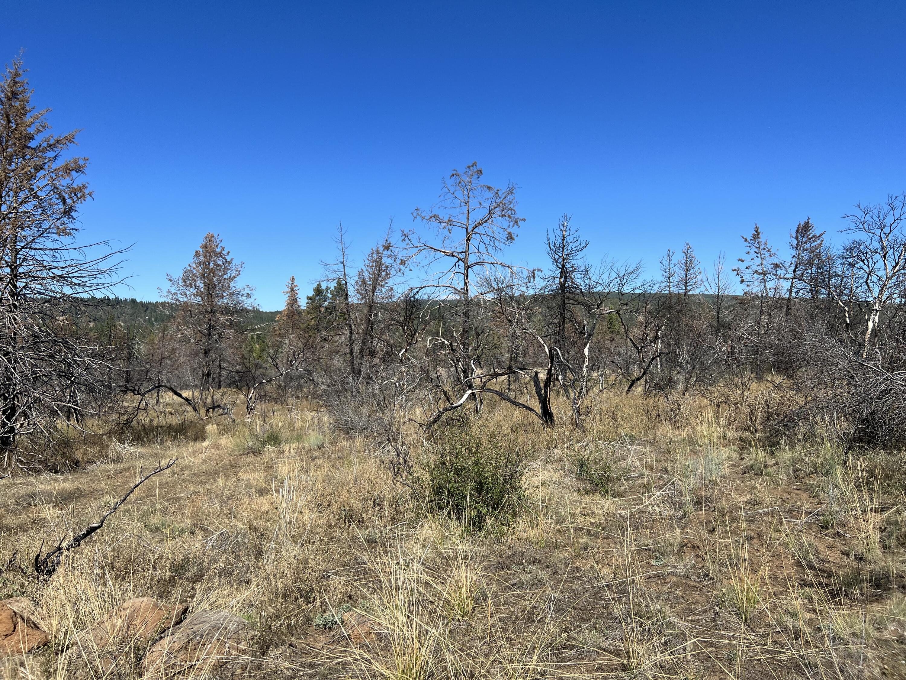 Klamath Falls Forest Estates Hwy 66 Unit Plat 4 - Land