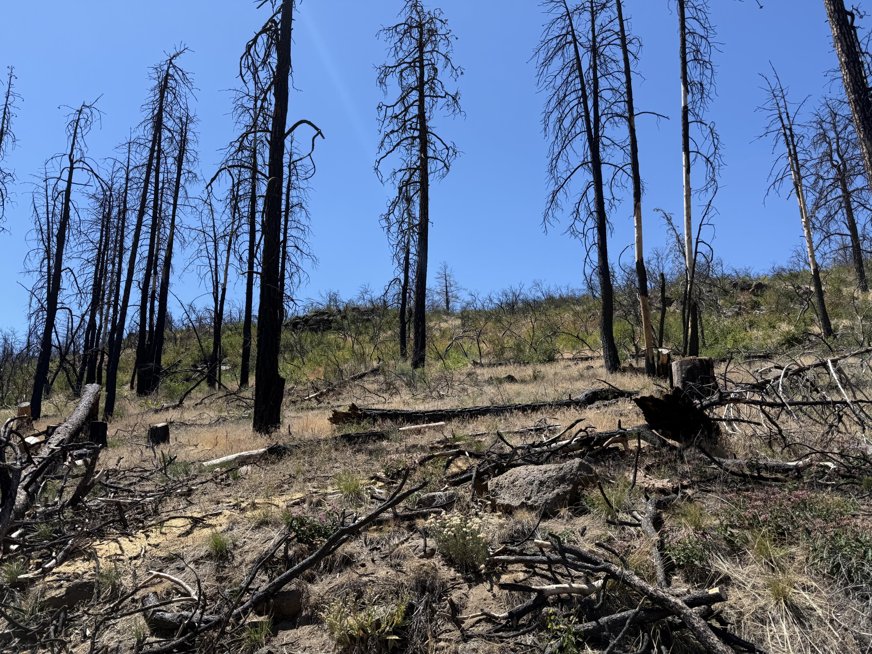 Klamath Falls Forest Estates Hwy 66 Unit Plat 4 - Land
